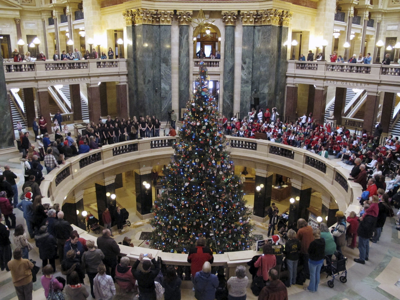 Holiday Tree